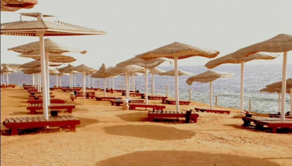 Royal Paradise Resort Sharm El-Sheikh Exterior foto